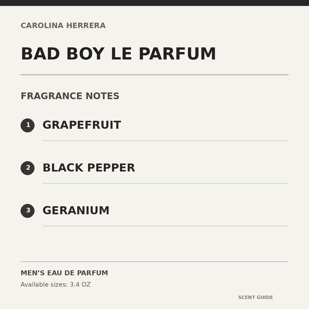 Bad Boy Le Parfum fragrance notes informational guide