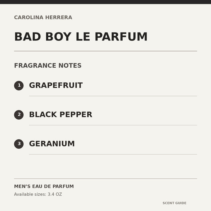Bad Boy Le Parfum fragrance notes informational guide